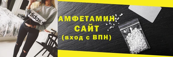 ECSTASY Пересвет