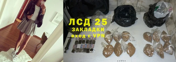 стаф Алзамай
