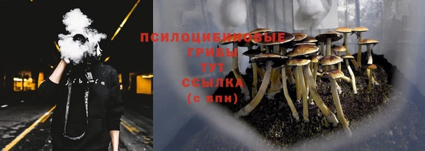 мяу мяу мука Абаза