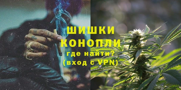 ECSTASY Пересвет