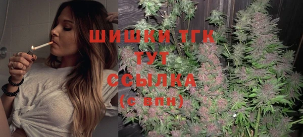 ECSTASY Пересвет