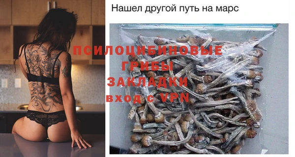 мяу мяу мука Абаза
