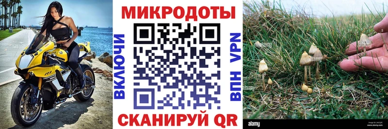 Галлюциногенные грибы мухоморы  где продают наркотики  Коряжма 